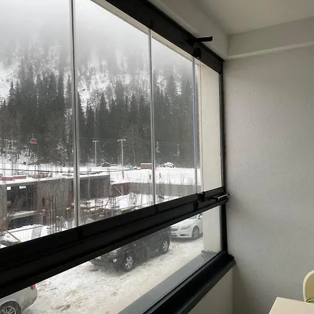 Tayra * Jahorina